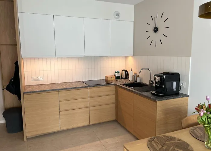 Apartament Czysta